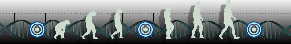 DNA Sequence